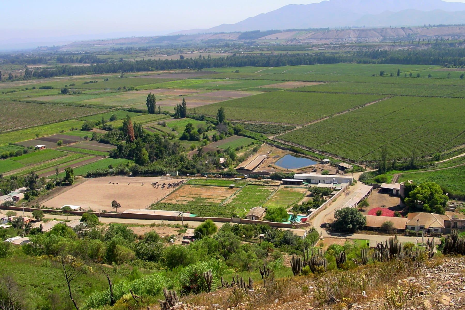 Irrigated smallholdings and green fields patterned across the Limarí valley in Chile, with dry hills behind